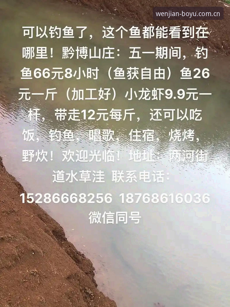 博鱼下载地址常见问题 博鱼官方平台下载地址常见问题完整指南:新手必读的安装与使用教程